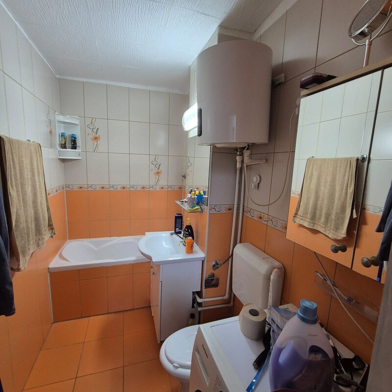 Colentina, Lacul Plumbuita.